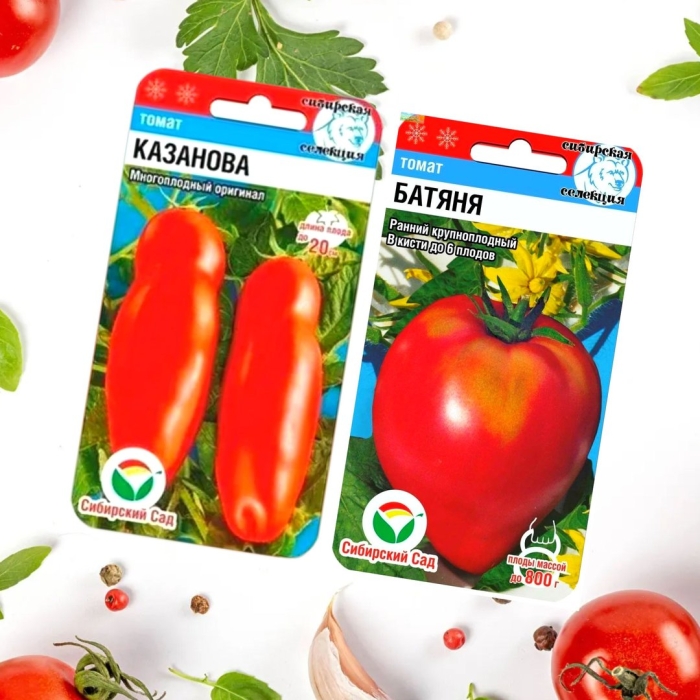 Томат казанова сибирский сад