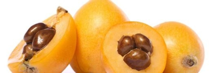 Мушмула эриоботрия