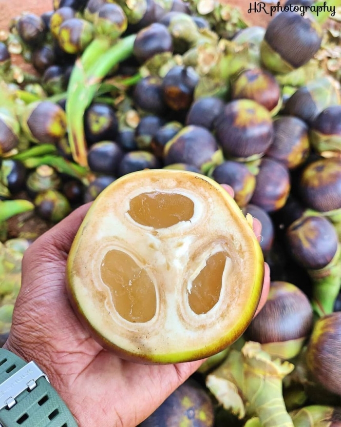 Экзотические фрукт