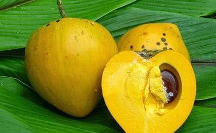 Желтый экзотический фрукт