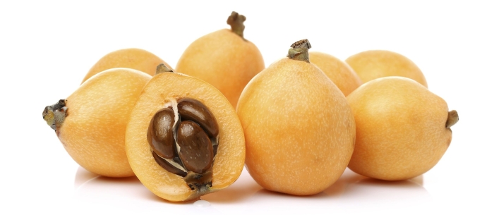 Мушмула германская