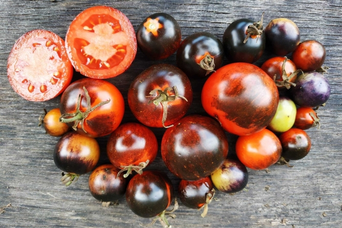 Томат черри черника