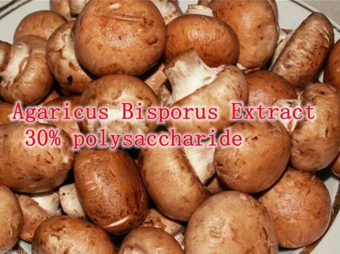 Agaricus bisporus