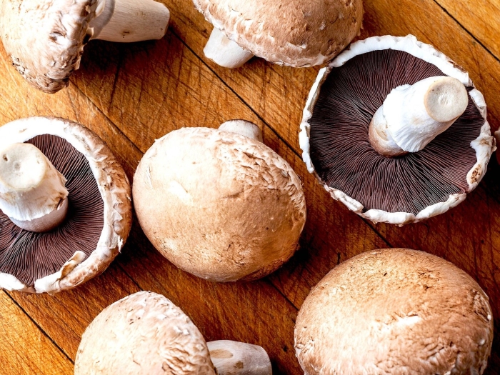 Шампиньон большой