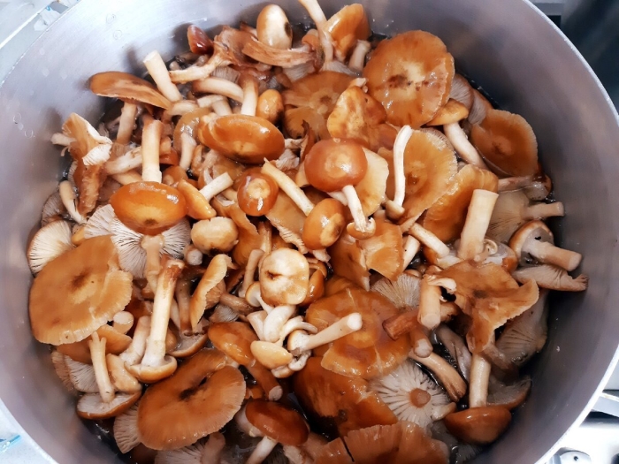 Маринованные опята