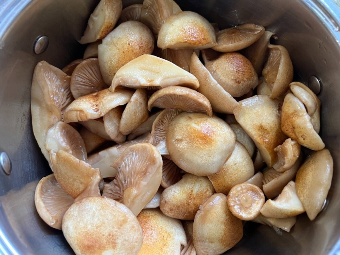 Бланширование грибов перед солением