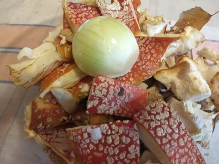 Сухой мухомор красный amanita muscaria