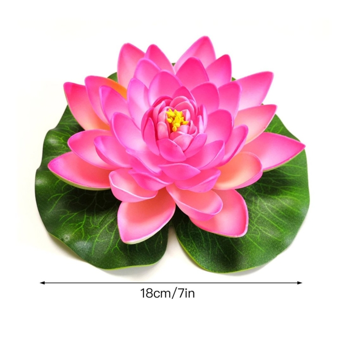 Водяная лилия кувшинка