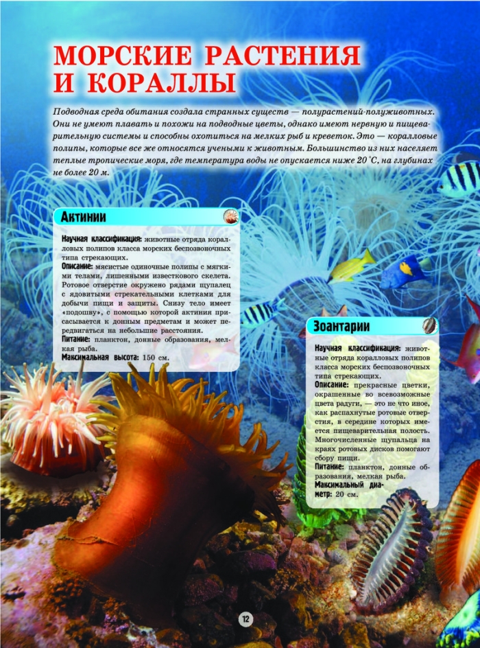 Энциклопедия подводные обитатели