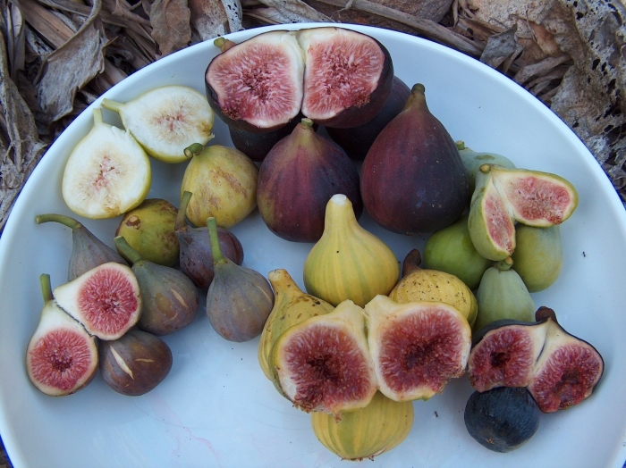 Гуава и инжир