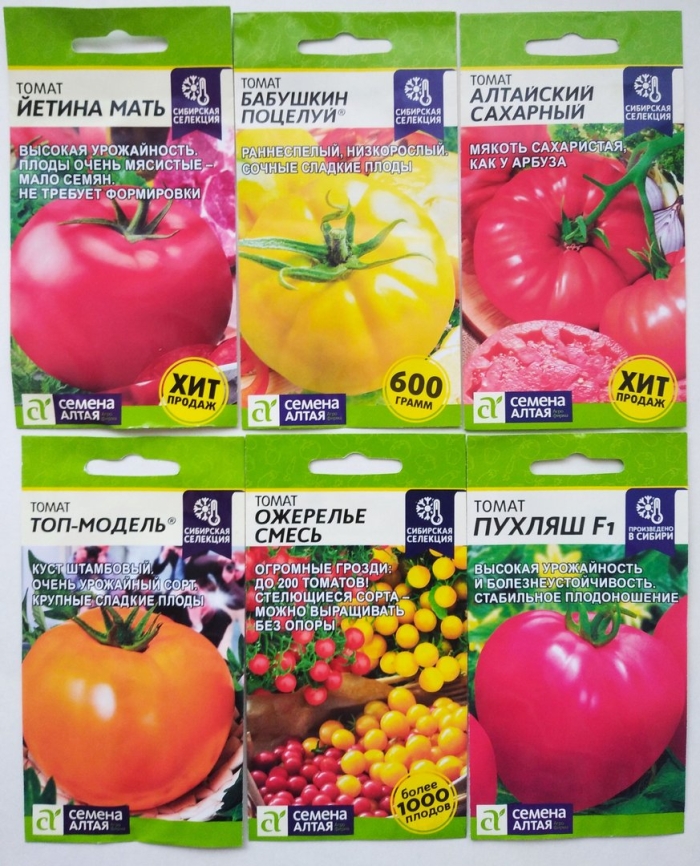Томат йетина мать семена алтая