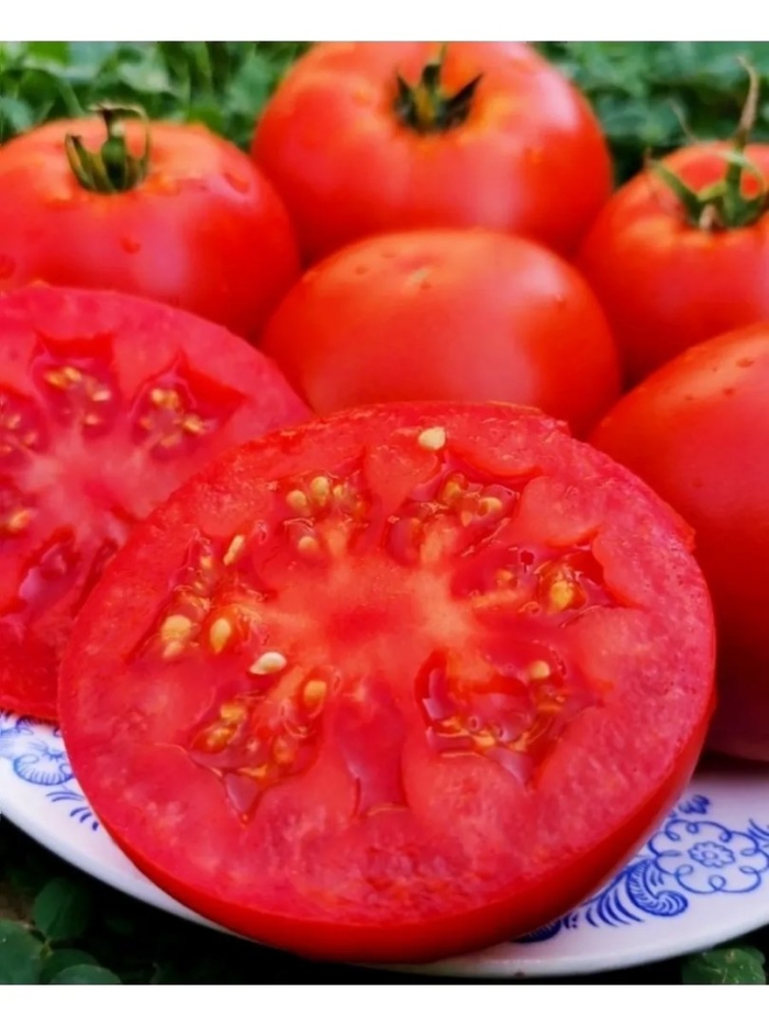 Томат матушка царица