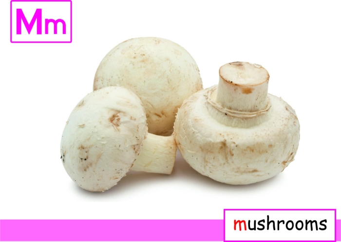 Гриб шампиньон