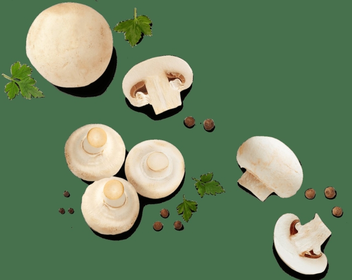 Упаковщик шампиньонов