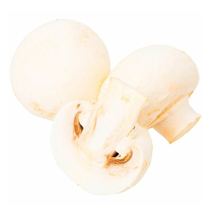 Гриб шампиньон