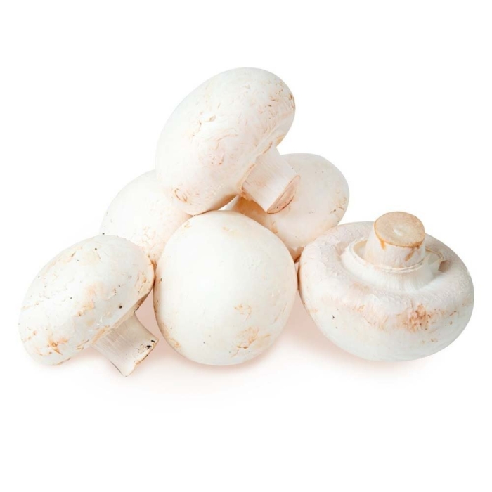 Гриб шампиньон