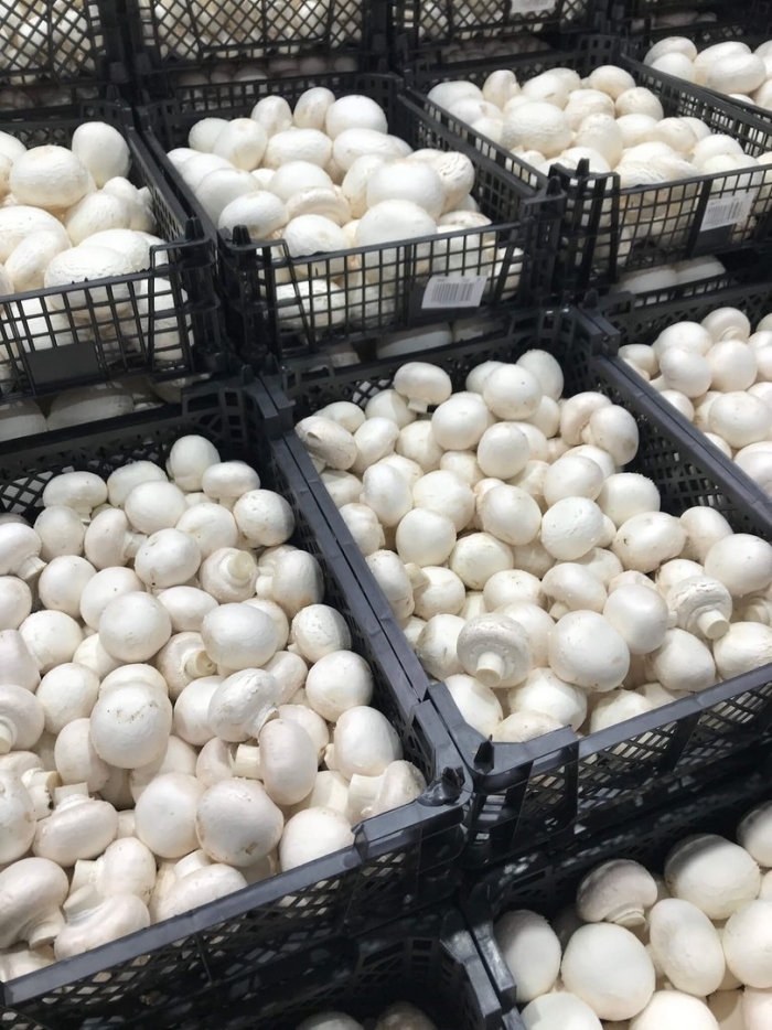 Шампиньоны 3 кг