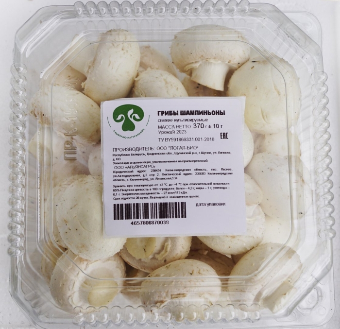 Шампиньоны магнит свежесть