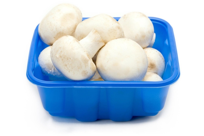 Шампиньоны свежие