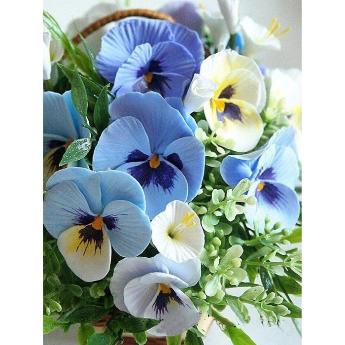 Анютины глазки цветок