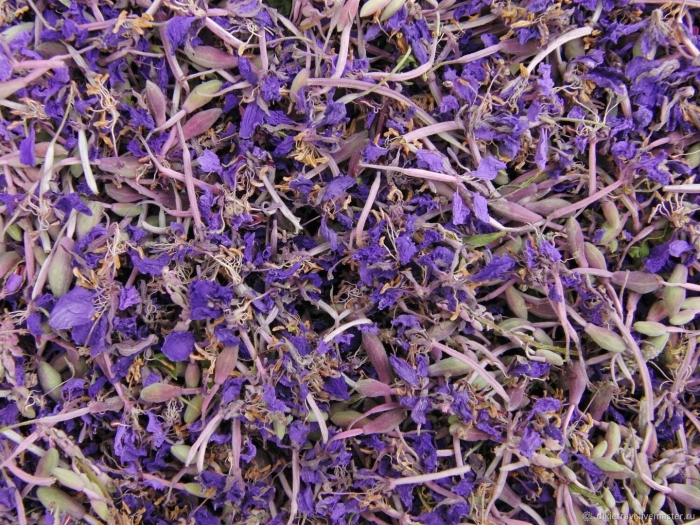 Иван чай кипрей сушеный