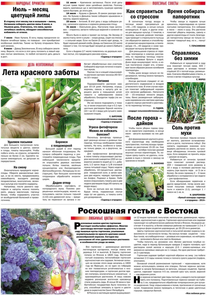 Русская газета