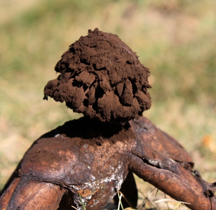 Африканские термитники