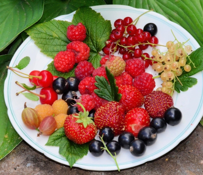 Ягоды малина крыжовник смородина