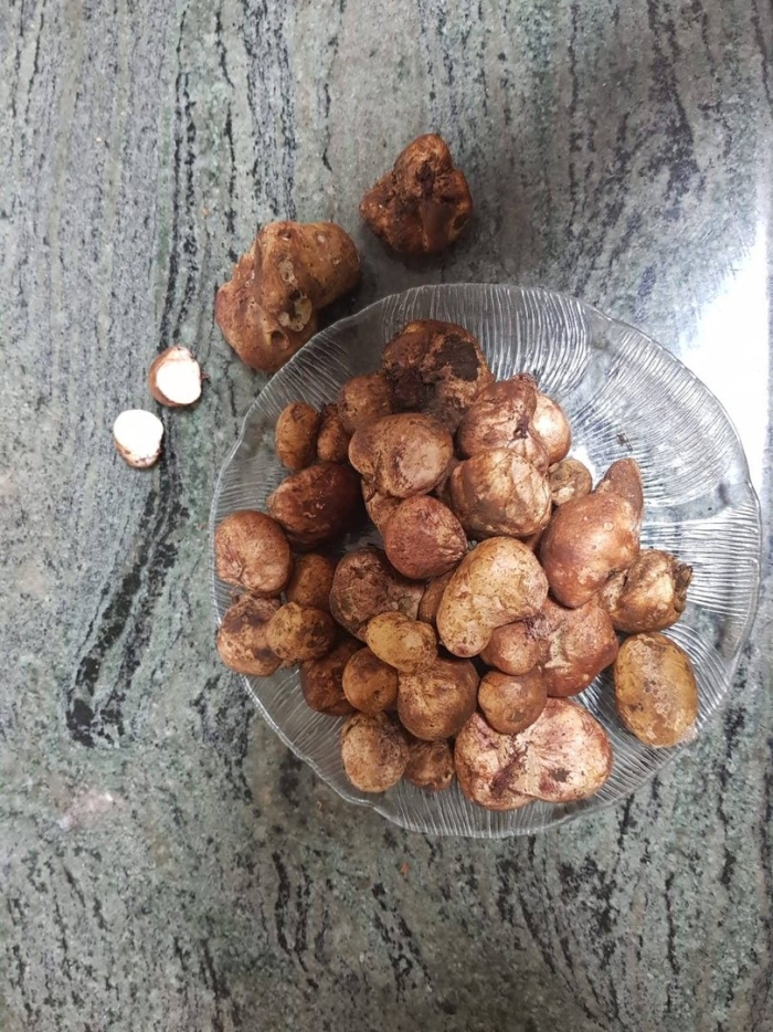 Крымский трюфель