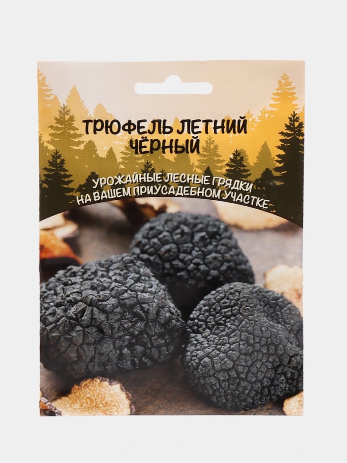 Трюфель летний