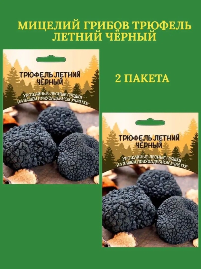 Летний трюфель