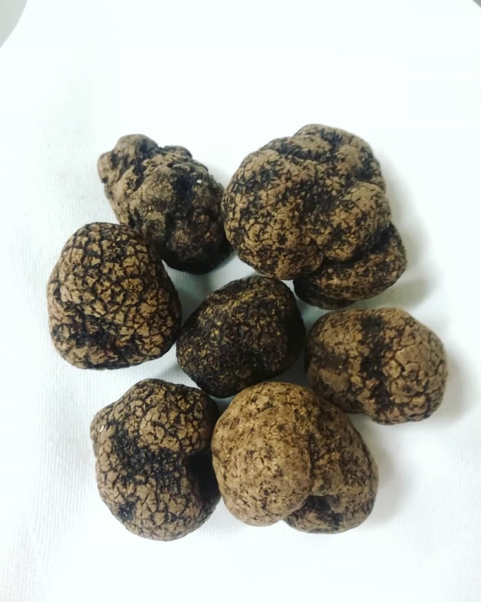 Крымский трюфель гриб