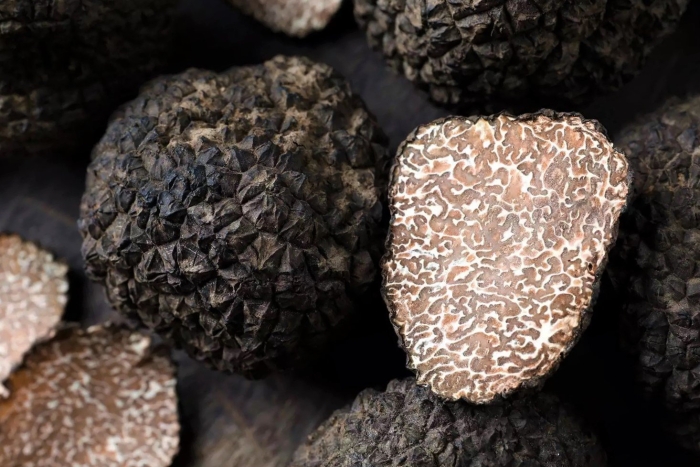 Русский чёрный трюфель