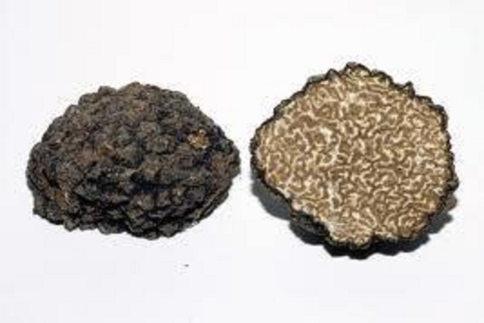 Трюфель чёрный летний (tuber aestivum).