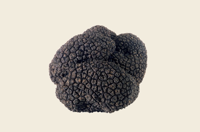 Black truffle