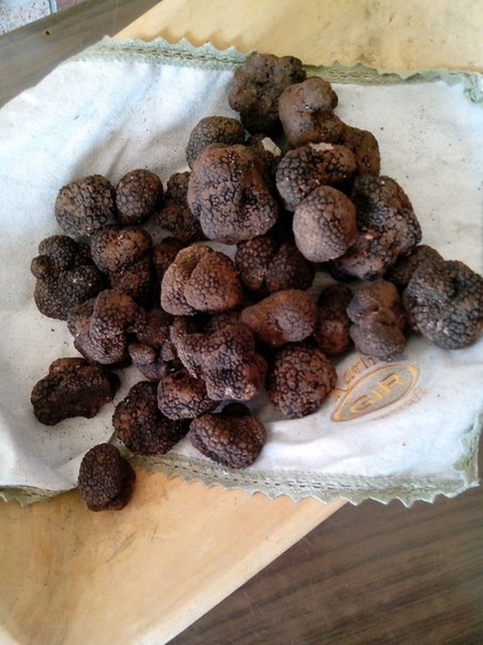 Крымский белый трюфель