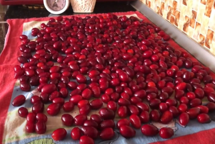 Кизил ягода