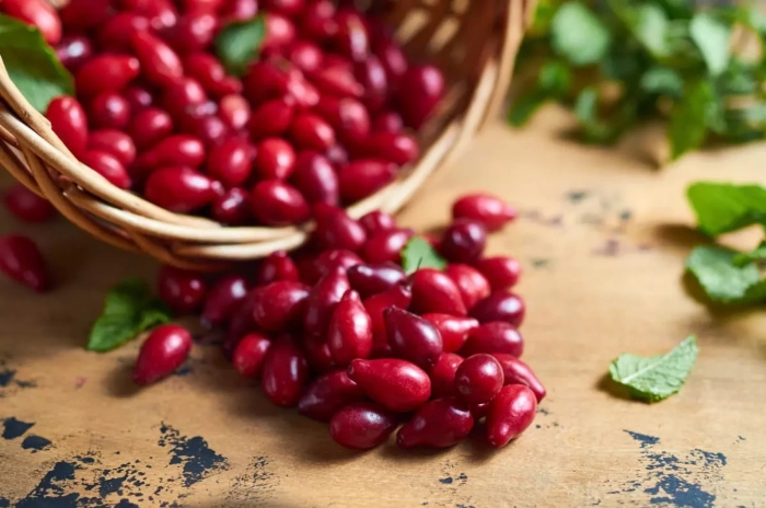 Что такое кизил