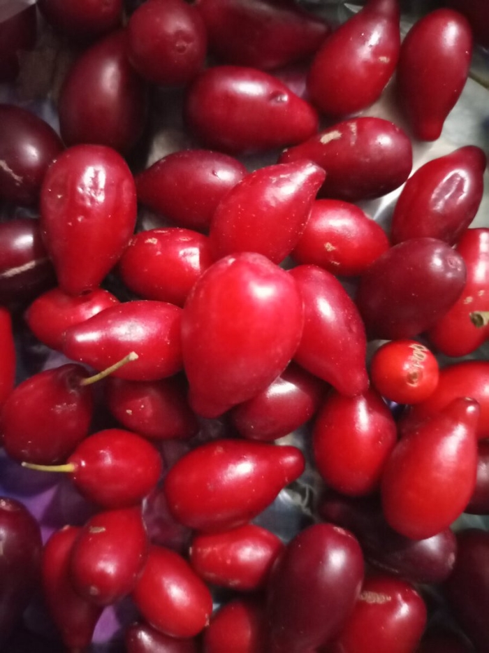 Кизил ягода косточка