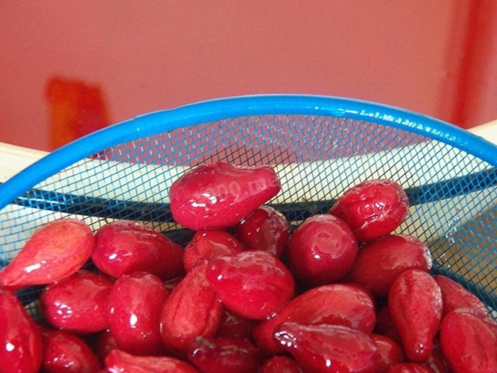 Кизил мия илдизи