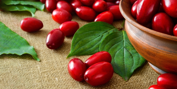 Кизил михайловский