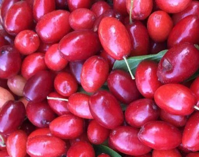 Кизил польза