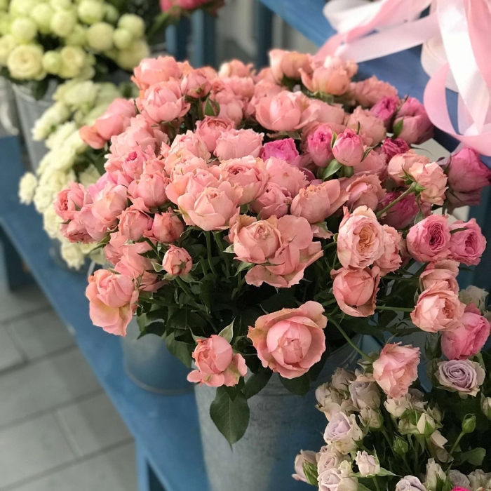 Бомбастик роза кустовая