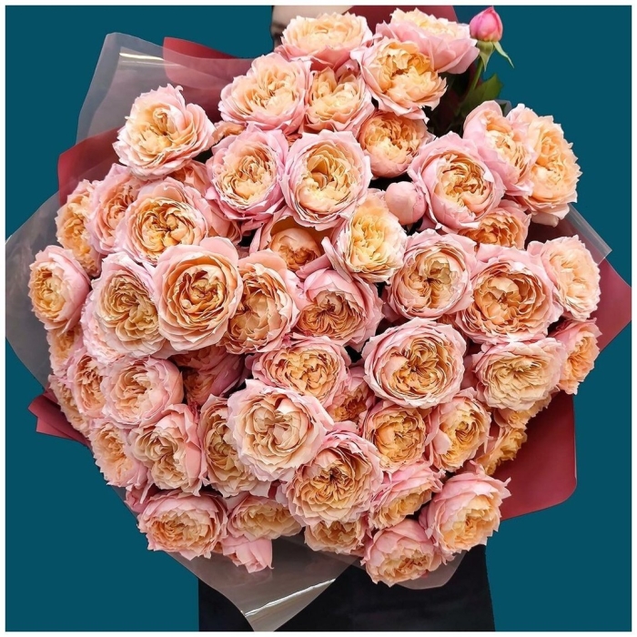 Кустовая роза джульетта