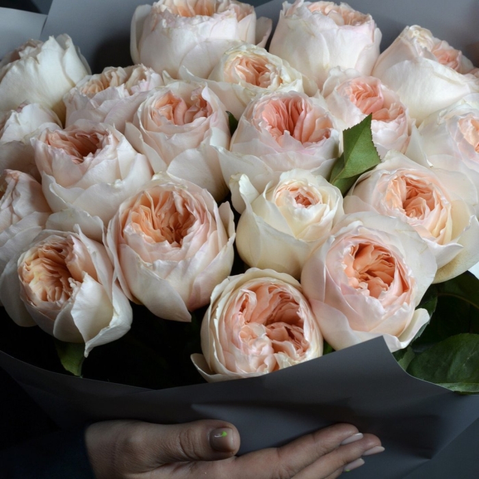 Роза дэвида остина джульетта