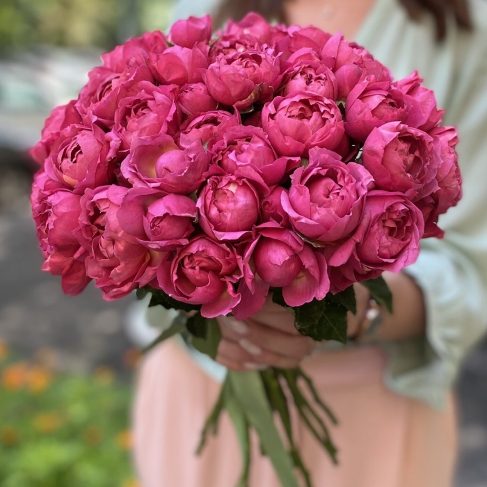 Кустовая пионовидная роза