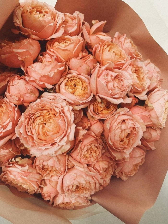 Пионовидная роза джульетта