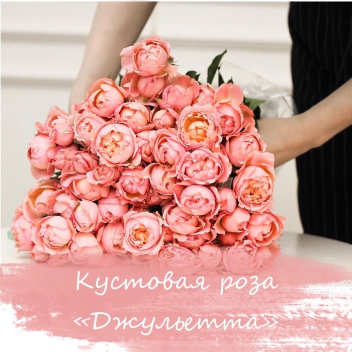 Кустовая пионовидная роза джульетта