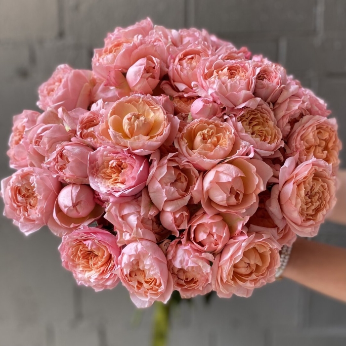 Пионовидная роза