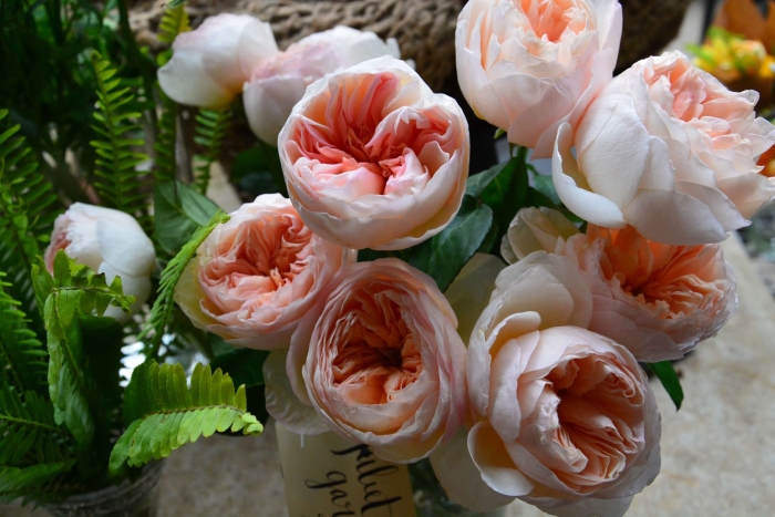 Пионовидная роза дэвид остин